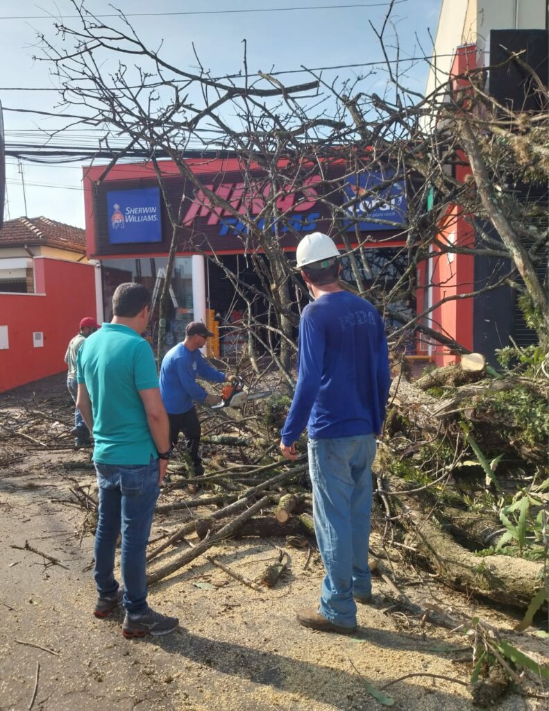 arvores recolhidas em Leme 03 Temporal derruba mais de 80 árvores em Leme; equipes trabalham na remoção dos destroços Cidade | Destaques | Leme