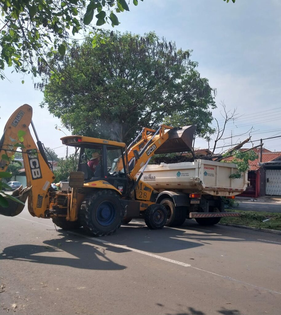 arvores recolhidas em Leme Temporal derruba mais de 80 árvores em Leme; equipes trabalham na remoção dos destroços Cidade | Destaques | Leme