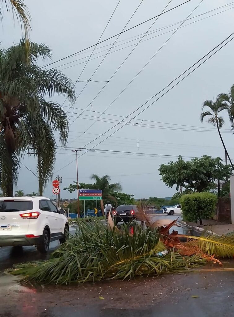 chuva Leme 04 URGENTE: temporal e ventos fortes causam estragos em diversas regiões; Defesa Civil alerta cuidado ao sair de casa Cidade | Destaques | Leme